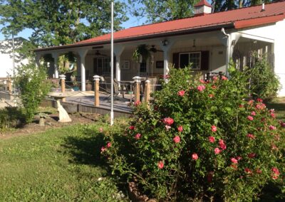 pink roses by white home with red roof